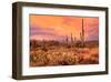 Saguaros in Sonoran Desert-null-Framed Art Print