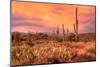 Saguaros in Sonoran Desert-null-Mounted Art Print