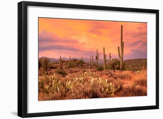 Saguaros in Sonoran Desert-null-Framed Art Print