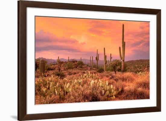 Saguaros in Sonoran Desert-null-Framed Art Print