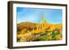 Saguaros-Anton Foltin-Framed Photographic Print