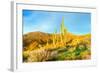 Saguaros-Anton Foltin-Framed Photographic Print