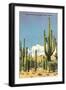 Saguaros-null-Framed Art Print