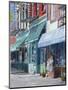 Sahadi'S, Atlantic Avenue, Brooklyn, Ny, 2013-Anthony Butera-Mounted Giclee Print