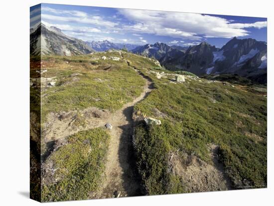 Sahale Peak Trail, North Cascade National Park, Washington, USA-William Sutton-Stretched Canvas