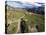 Sahale Peak Trail, North Cascade National Park, Washington, USA-William Sutton-Stretched Canvas