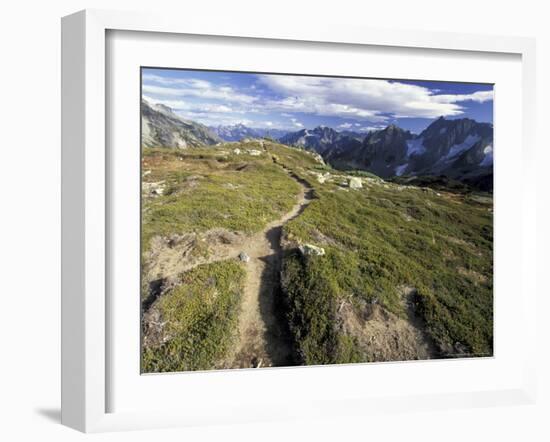 Sahale Peak Trail, North Cascade National Park, Washington, USA-William Sutton-Framed Photographic Print
