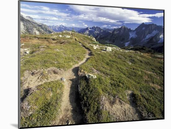 Sahale Peak Trail, North Cascade National Park, Washington, USA-William Sutton-Mounted Photographic Print