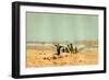 Sahara 19th Century Desert Camels-null-Framed Giclee Print