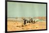 Sahara 19th Century Desert Camels-null-Framed Giclee Print