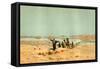 Sahara 19th Century Desert Camels-null-Framed Stretched Canvas