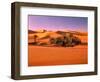 Sahara, Black Bug, Toktokkie, Sand-Thonig-Framed Photographic Print