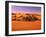 Sahara, Black Bug, Toktokkie, Sand-Thonig-Framed Photographic Print