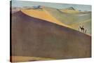 Stretched Canvas