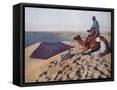 Framed Canvas