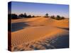 Sahara Desert, Douz,Tunisia-Jon Arnold-Stretched Canvas