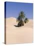 Sahara Desert, Douz, Tunisia-Jon Arnold-Stretched Canvas