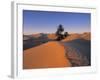 Sahara Desert, Douz, Tunisia-Jon Arnold-Framed Photographic Print