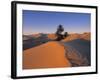 Sahara Desert, Douz, Tunisia-Jon Arnold-Framed Photographic Print