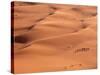 Sahara Desert, Morocco-Geoff Arrow-Stretched Canvas