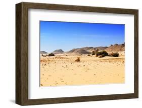 Sahara Desert, Western Desert, Egypt-Oleg Znamenskiy-Framed Photographic Print