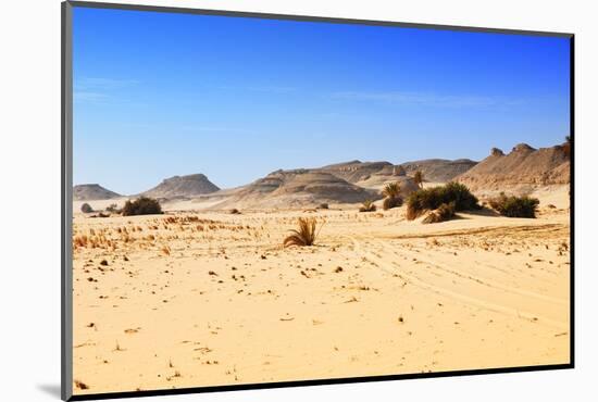 Sahara Desert, Western Desert, Egypt-Oleg Znamenskiy-Mounted Photographic Print