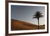 Sahara Ii-Tony Koukos-Framed Giclee Print