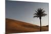 Sahara Ii-Tony Koukos-Mounted Giclee Print