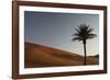 Sahara Ii-Tony Koukos-Framed Giclee Print