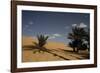 Sahara Iii-Tony Koukos-Framed Giclee Print