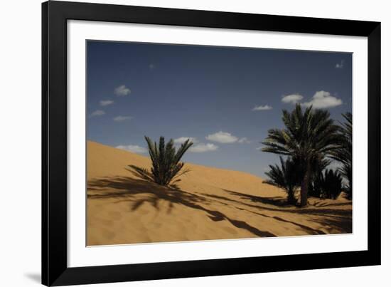 Sahara Iii-Tony Koukos-Framed Giclee Print