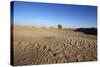 Sahara Landscape, Douz, Kebili, Tunisia, North Africa, Africa-Godong-Stretched Canvas