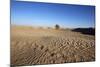 Sahara Landscape, Douz, Kebili, Tunisia, North Africa, Africa-Godong-Mounted Photographic Print