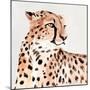 Saharan Cheetah I-Annie Warren-Mounted Art Print