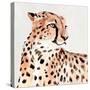 Saharan Cheetah I-Annie Warren-Stretched Canvas