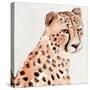 Saharan Cheetah II-Annie Warren-Stretched Canvas