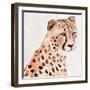 Saharan Cheetah II-Annie Warren-Framed Art Print