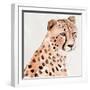 Saharan Cheetah II-Annie Warren-Framed Art Print