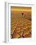 Saharan Journey, 1995-Tilly Willis-Framed Giclee Print