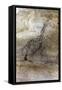 Saharan Rock Painting-null-Framed Stretched Canvas