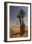 Saharan Scene-Tony Koukos-Framed Giclee Print
