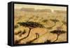 Sahelian Landscape, 2002-Tilly Willis-Framed Stretched Canvas