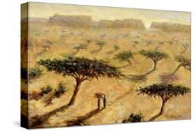 Sahelian Landscape, 2002-Tilly Willis-Stretched Canvas