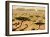 Sahelian Landscape, 2002-Tilly Willis-Framed Giclee Print