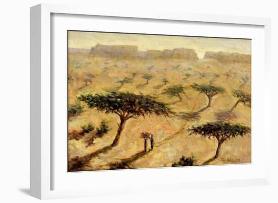 Sahelian Landscape, 2002-Tilly Willis-Framed Giclee Print