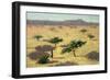 Sahelian Landscape, Mali, 1991-Tilly Willis-Framed Giclee Print