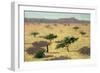 Sahelian Landscape, Mali, 1991-Tilly Willis-Framed Giclee Print