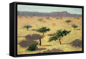 Sahelian Landscape, Mali, 1991-Tilly Willis-Framed Stretched Canvas