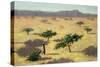 Sahelian Landscape, Mali, 1991-Tilly Willis-Stretched Canvas