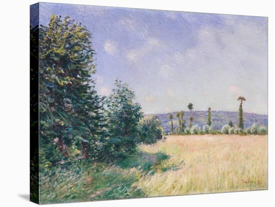 Sahurs Meadows in Morning Sun, 1894-Alfred Sisley-Stretched Canvas